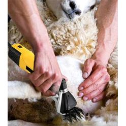Sheep shearing machine