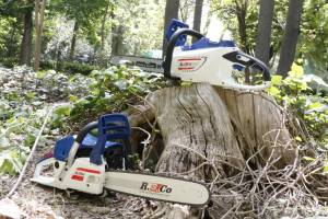 اره بنزینی چیست؟