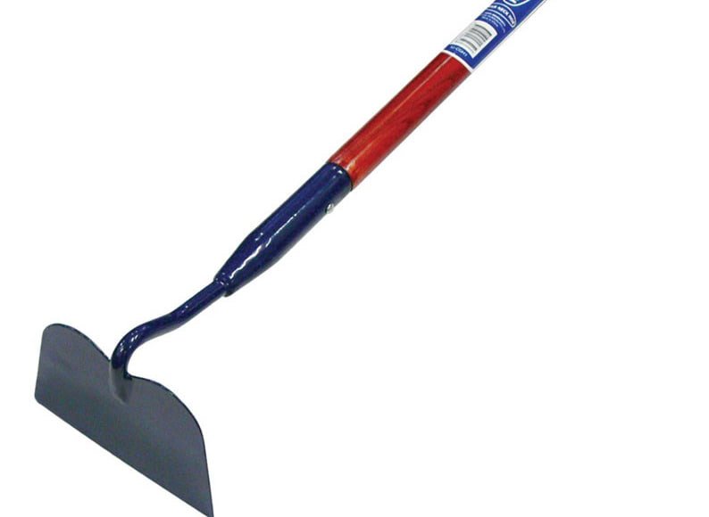 بیل گردن بلند