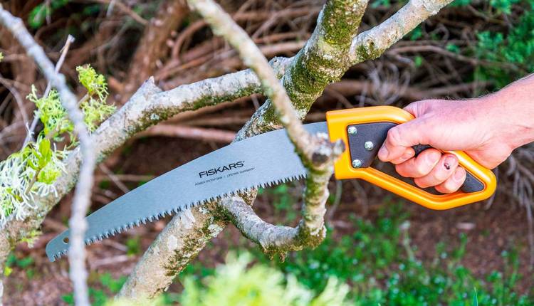  اره شاخه زن چیست؟