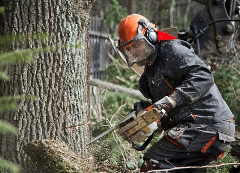 نکات ایمنی در کار با اره موتوری