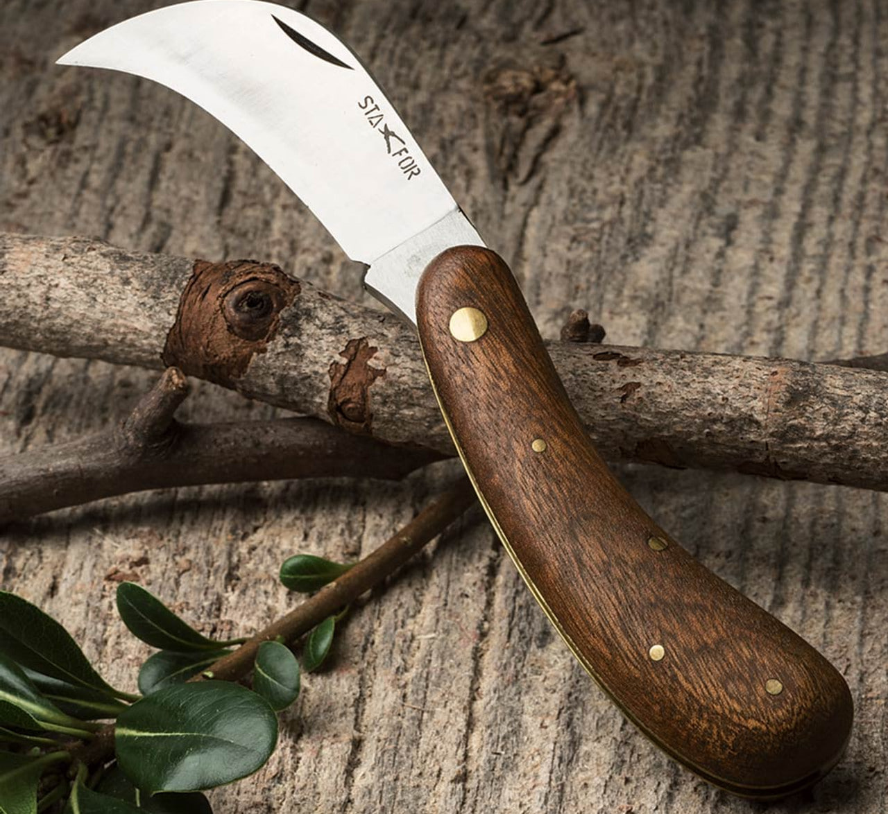چاقو پیوند زنی (Pruning Knife) چیست؟